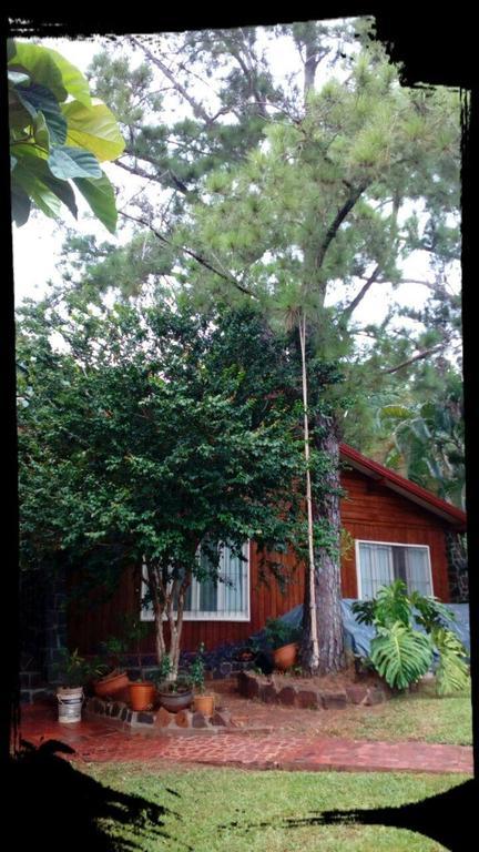 Tucan Hostel Puerto Iguazú Zewnętrze zdjęcie